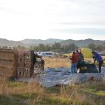 Temecula_0173 ()